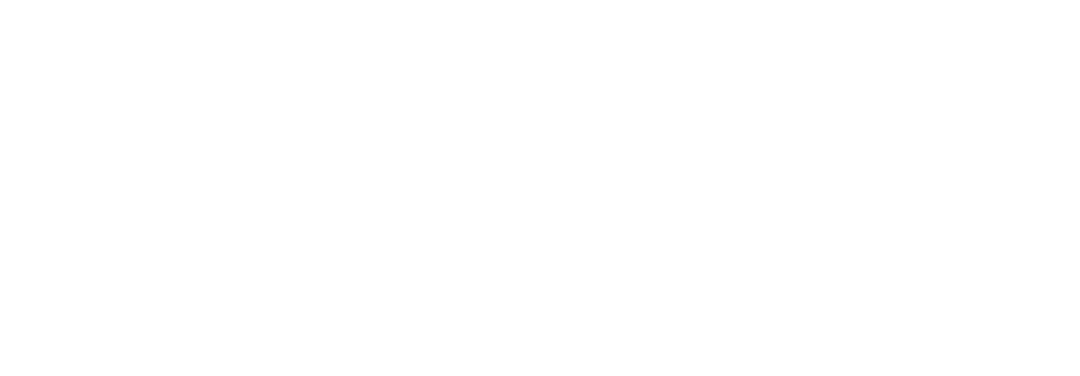 IBEX Consulting Services